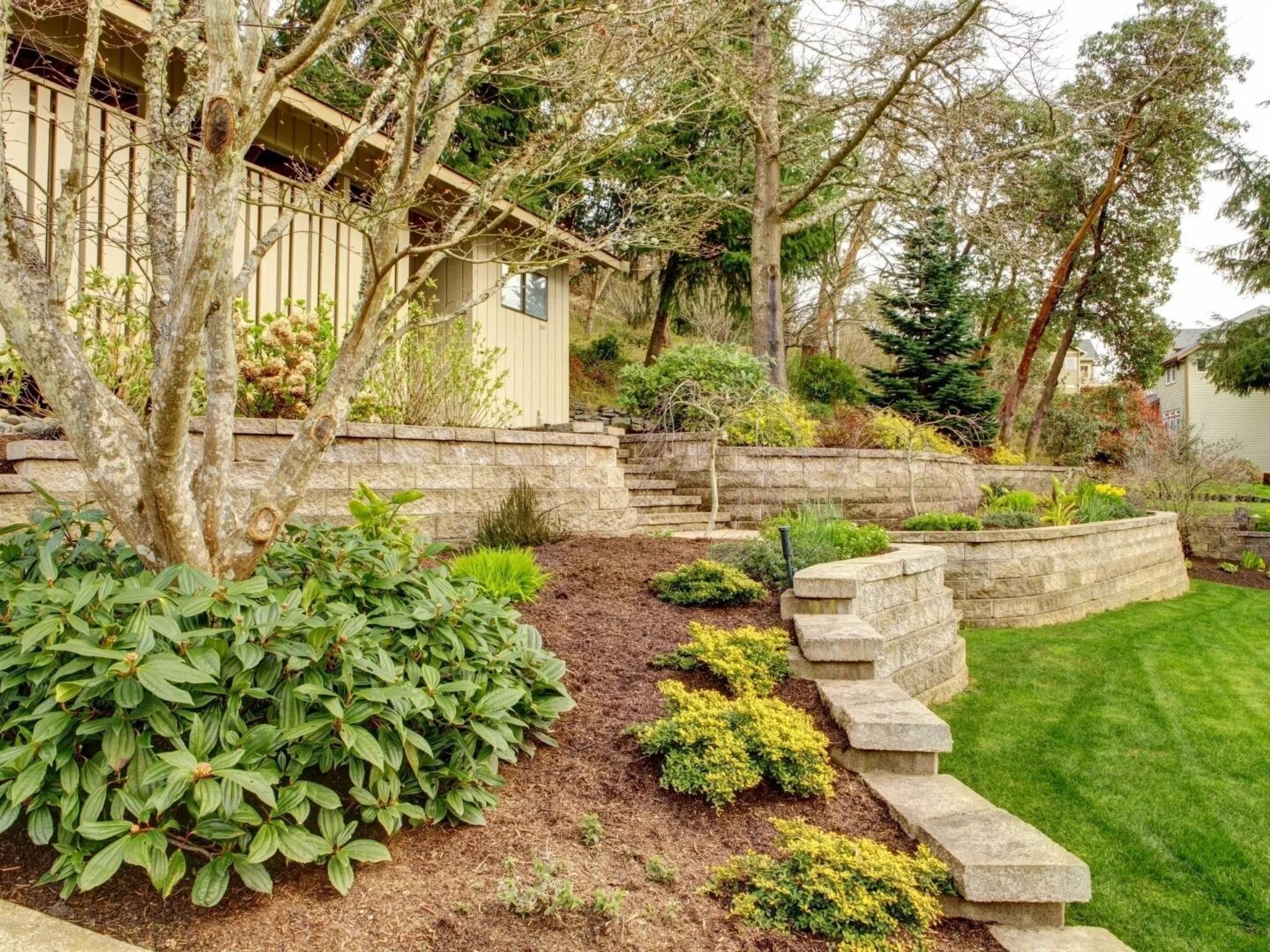 A garden with trees and shrubs in the background.