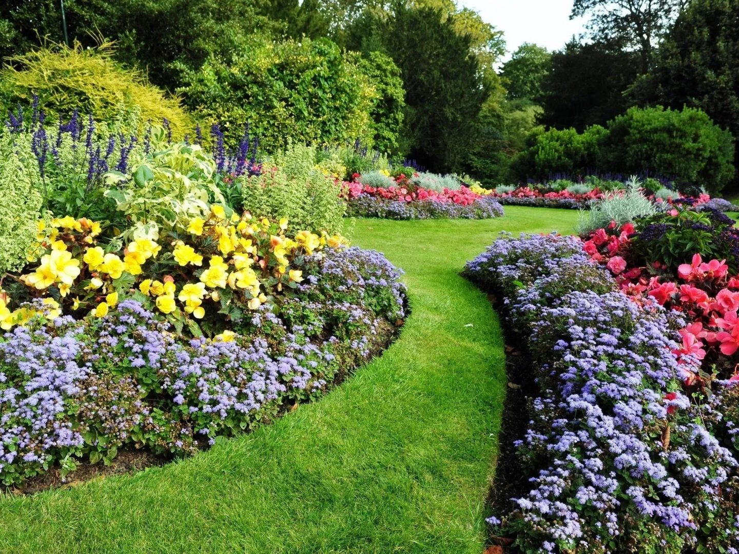 A garden with many different flowers and grass.